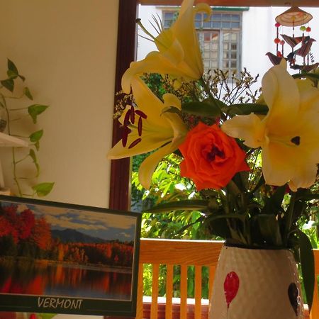 Charming Homestay Hoi An Eksteriør bilde