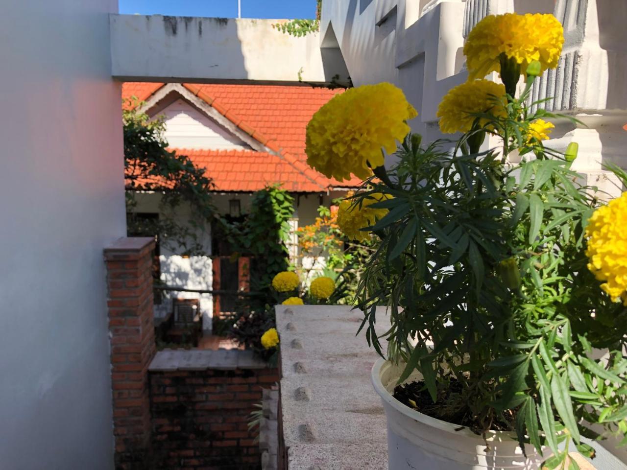 Charming Homestay Hoi An Eksteriør bilde